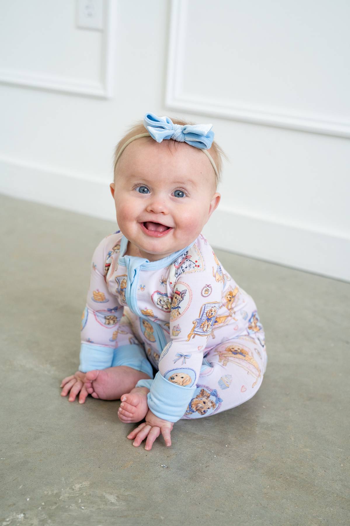 Parisian Pups | Zippy